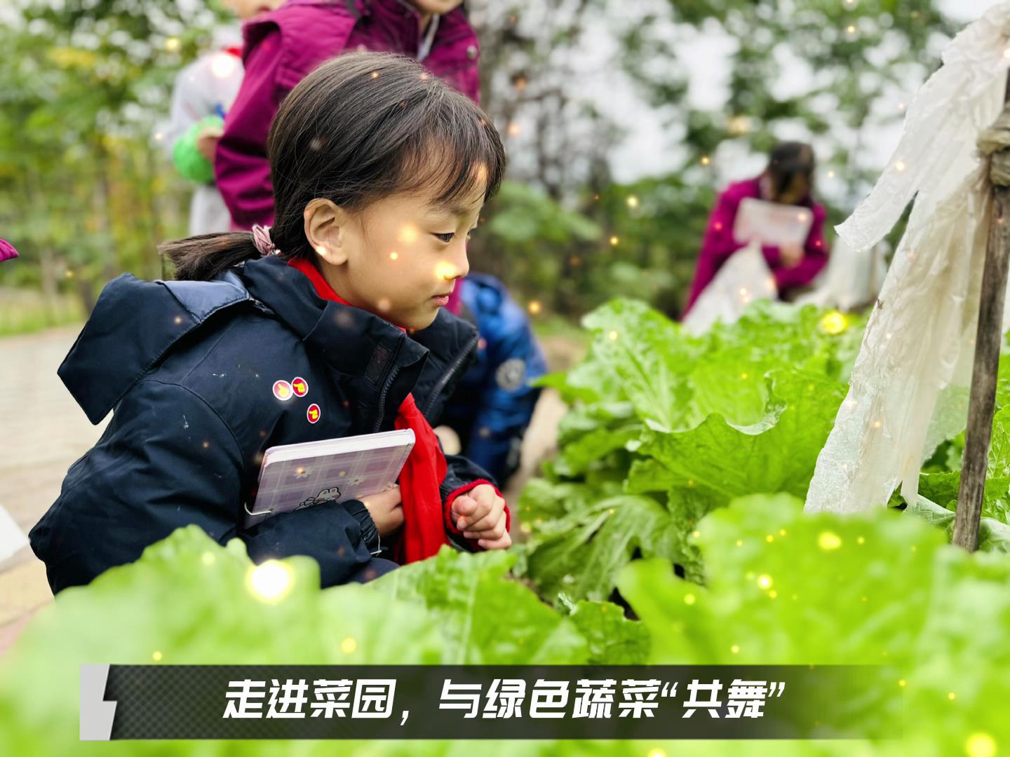 美好學(xué)校|留校時(shí)光，走出教室，與綠色蔬菜共舞