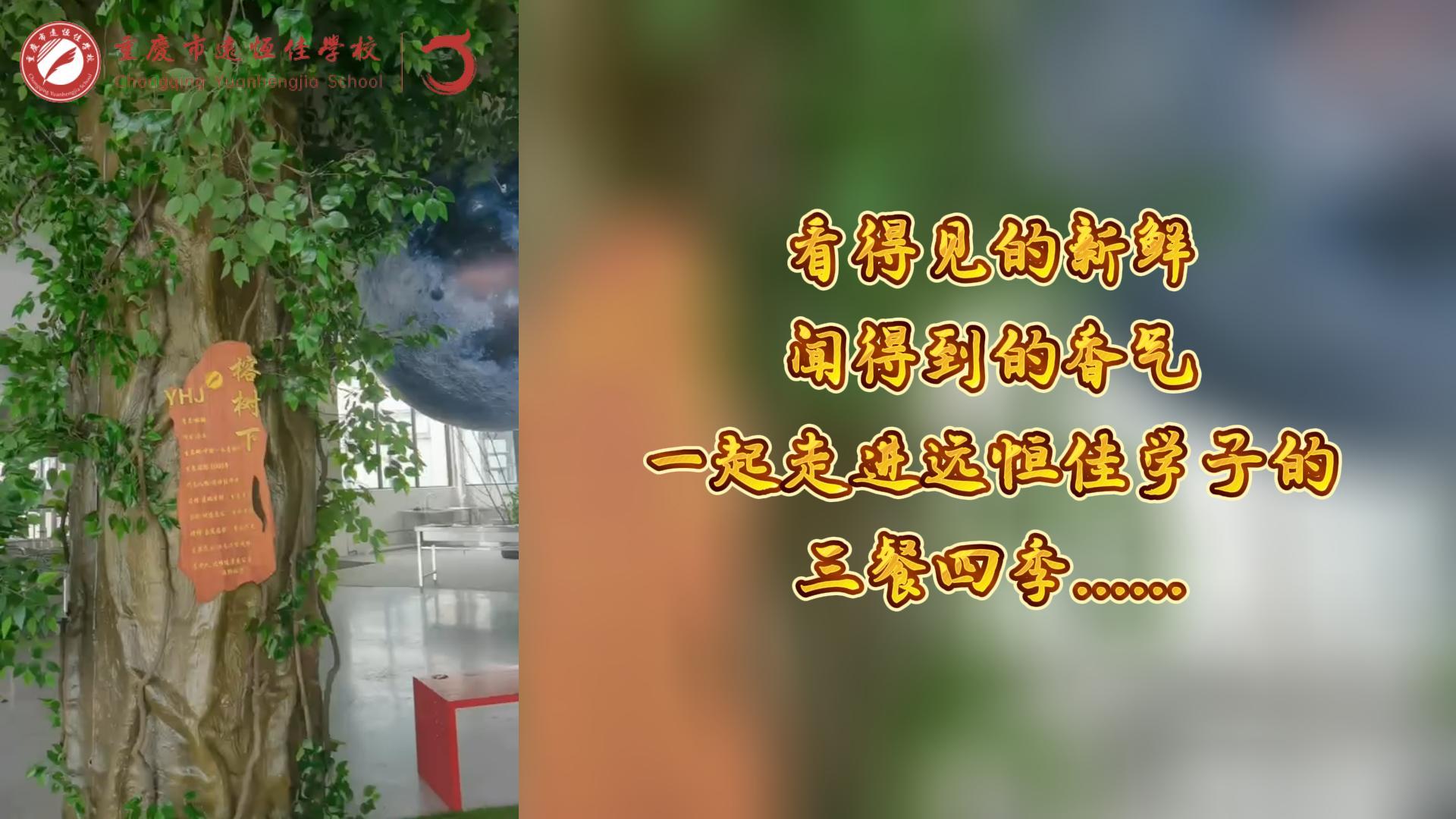 美好學(xué)校|看得見的新鮮，聞得到的香味，一起走進(jìn)遠(yuǎn)恒佳學(xué)子的三餐四季!